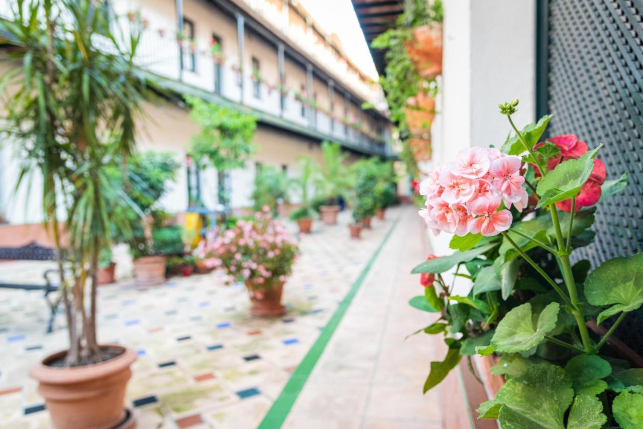 Hoteles Del Sur Seville Ngoại thất bức ảnh